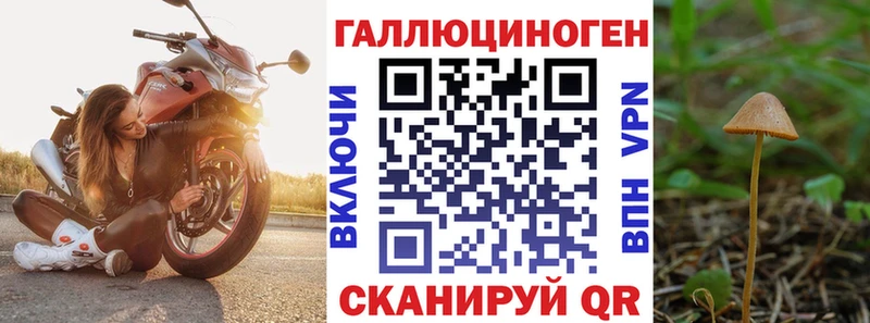 Псилоцибиновые грибы прущие грибы  Купить закладки  Мураши 