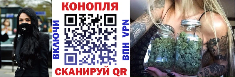 Купить где  Мураши  Бошки Шишки планчик 